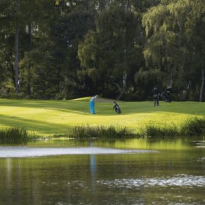 DLF Masterline PM20 Fineturf Seed Mix