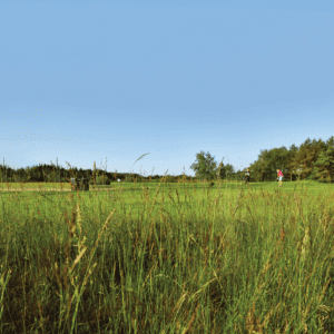 DLF Masterline PM25 Gro-Slow Seed Mix