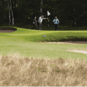 DLF Masterline PM25R Gro-Slow Plus Seed Mix