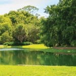 Wetland Seed Mix