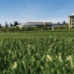 All season seed mix