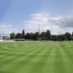 Masterline PM36 Wicket Seed Mix