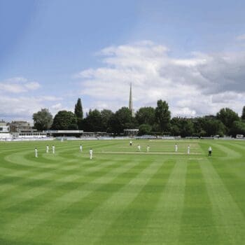 Masterline PM36 Wicket Seed Mix