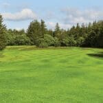 DLF Masterline PM45 Tee and Fairway Plus Seed Mix 20Kg