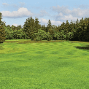 DLF Masterline PM45 Tee and Fairway Plus Seed Mix 20Kg