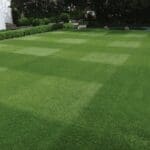 DLF Masterline PM50 Quality Lawn Seed Mix