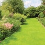 DLF Masterline PM52 Fine Lawn Seed Mix