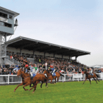 DLF Masterline PM65 Heavy Wear Seed Mix