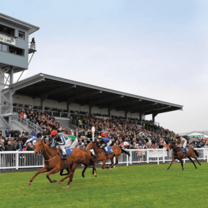 DLF Masterline PM65 Heavy Wear Seed Mix