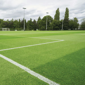 Masterline Playing Field Seed Mix 20Kg