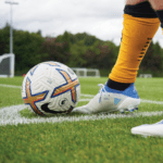 DLF Masterline PM80 Renovator Seed Mix