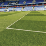 DLF Masterline PM81 Premier Renovation Seed Mix