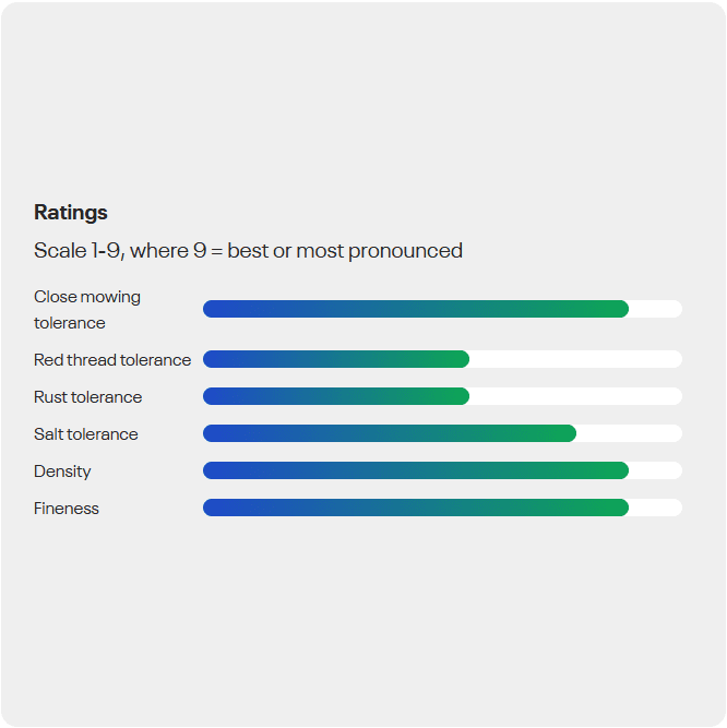 Economy Green Seed Mix
