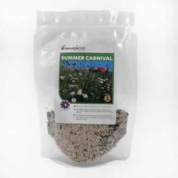 Carnival Seed Mix