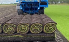 turf production practices