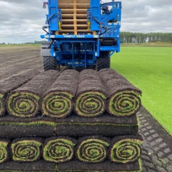 find good turf supplier