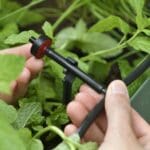 Hozelock Solar Irrigation Kit