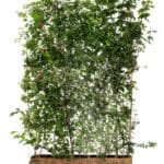 Mobilane Green Screen - ECO (120cm W x 180cm H) gallery image