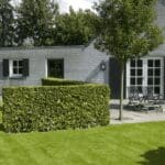 Mobilane Green Screen - Carpinus betulus (120cm x 155cm) gallery image