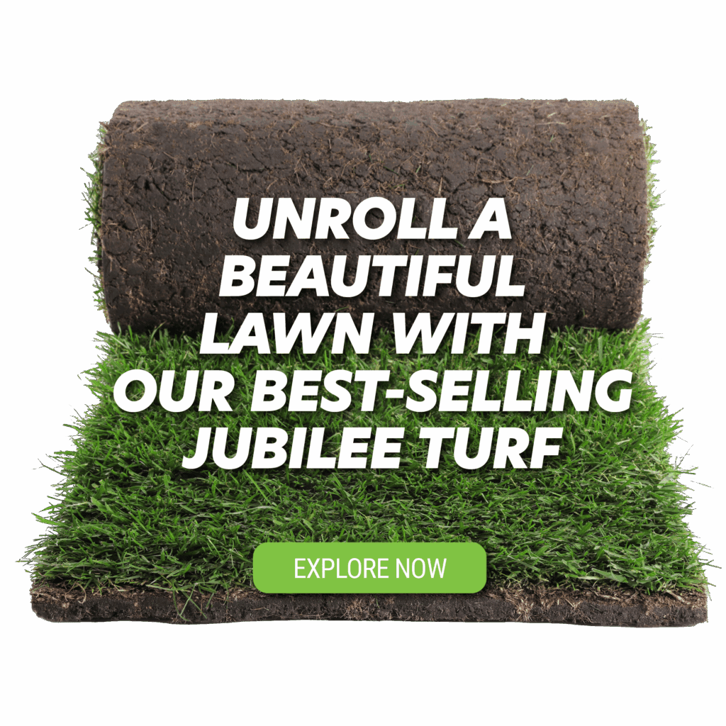 Jubilee Turf