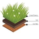 Meadowmat Species Rich gallery image