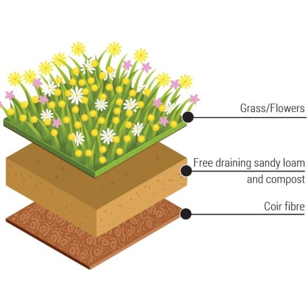 Meadowmat Cottage Garden | Wildflower Turf | TurfOnline